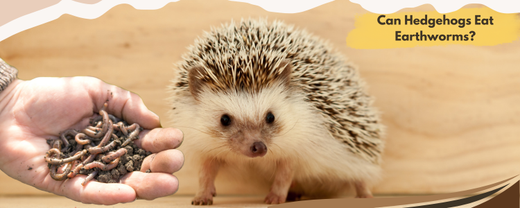 Can Hedgehogs Eat Earthworms