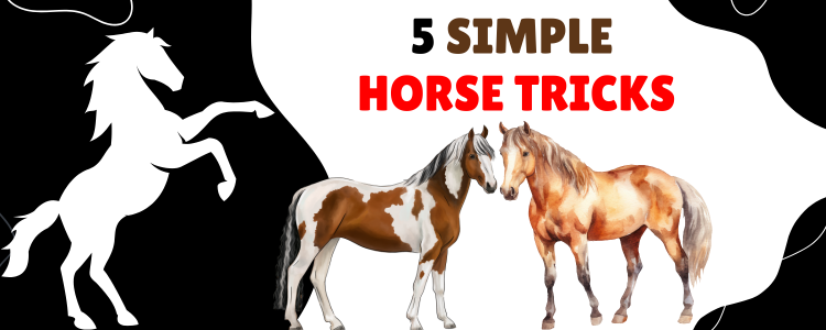 Easy Tricks To Teach Your Horse