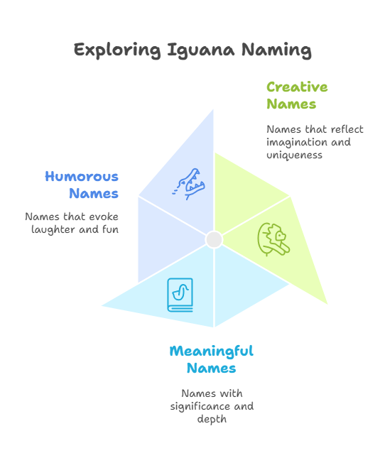 Exploring Iguana Naming