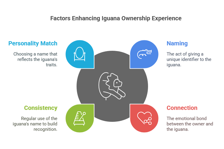 Factors Enhancing Iguana Ownership Experience