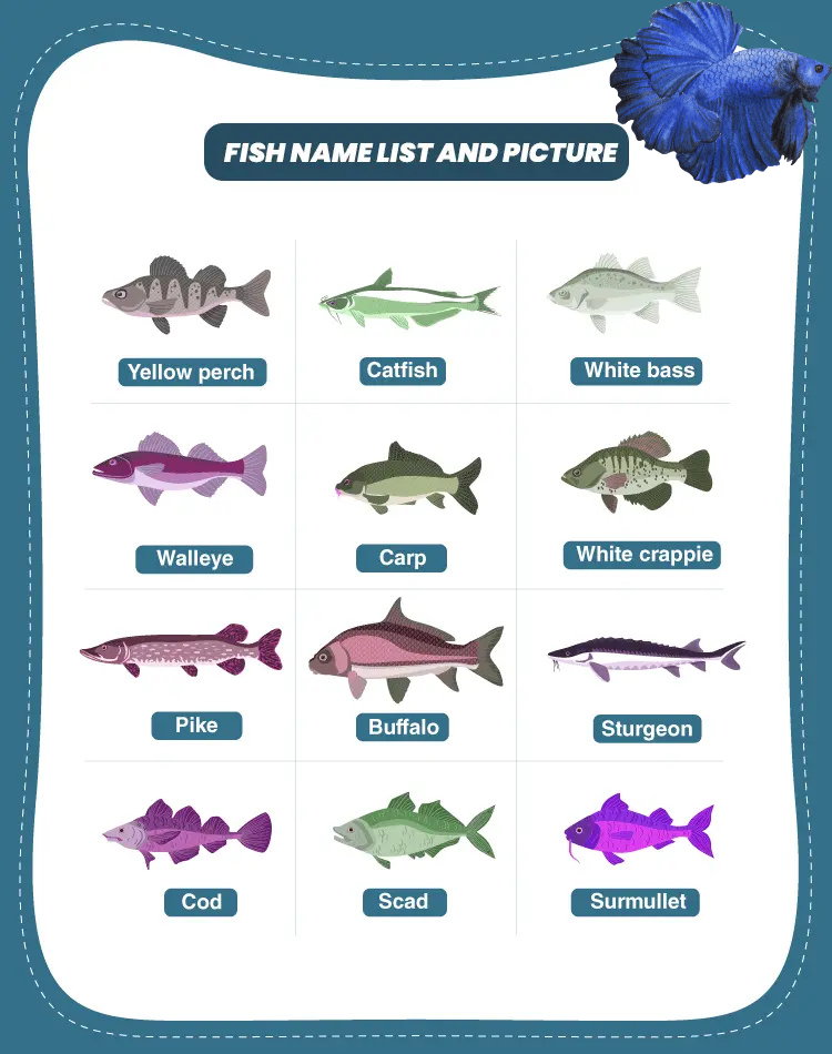 Fish Names