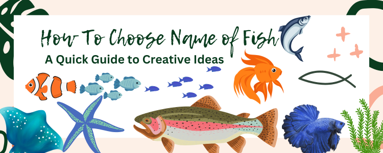 How To Choose Name of Fish