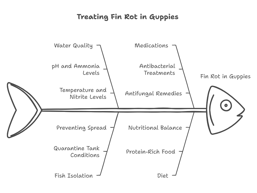 How to Treat Fin Rot in Guppies