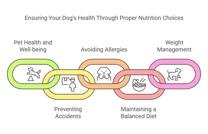 Importance Of Knowing What Your Dog Can Eat