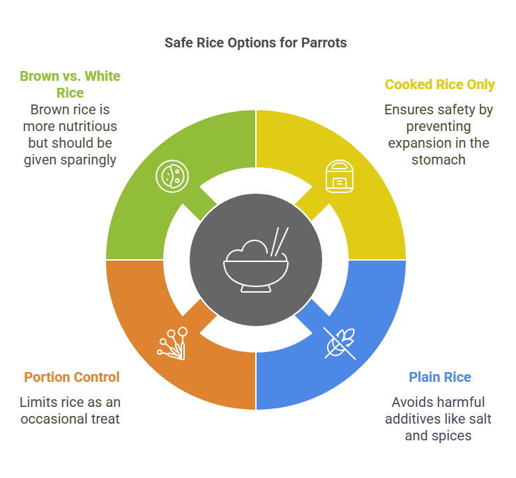 Safe And Healthy Rice Options For Parrots