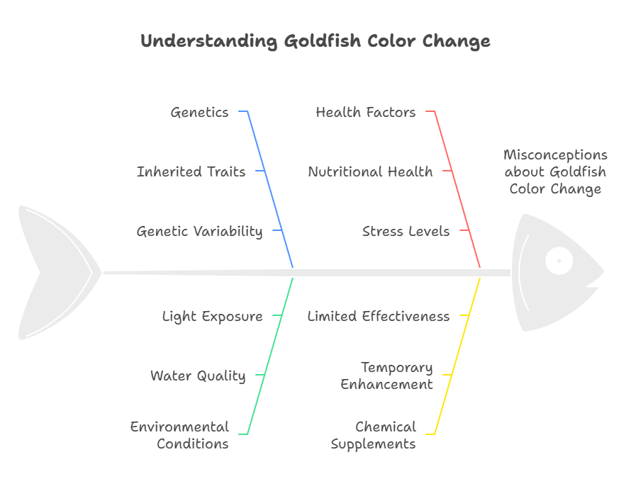 Dietary Factors