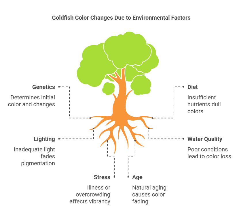 Environmental Influences