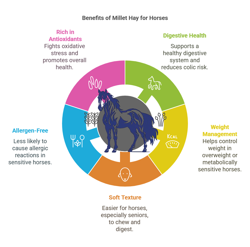 Benefits of Millet Hay for Horses