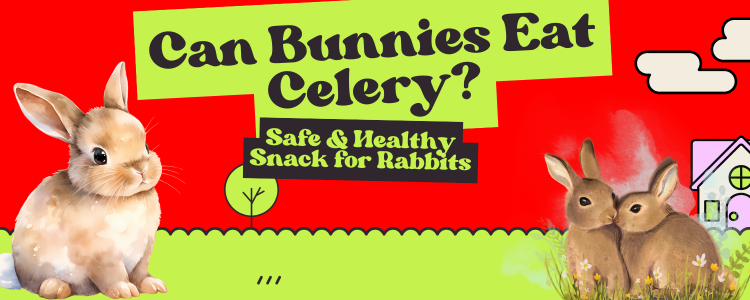 can bunnies eat celery