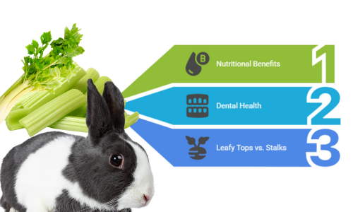 Is Celery Safe for Bunnies