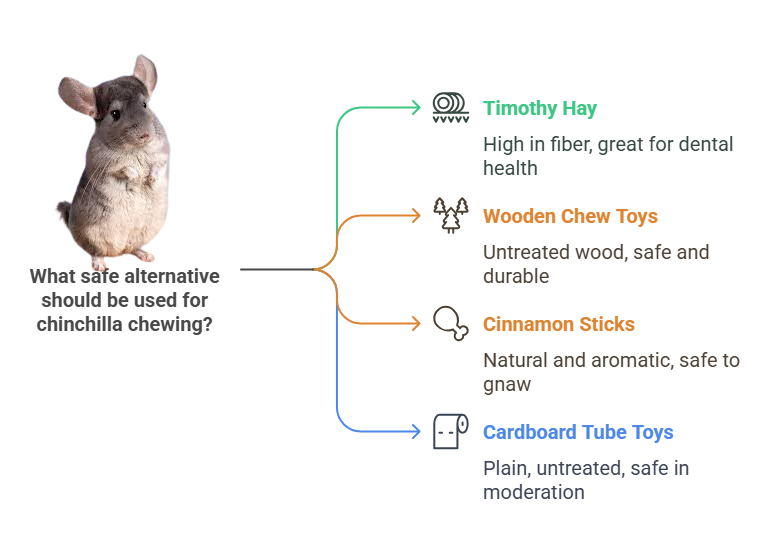 Safe Alternatives to Cardboard for Chinchillas