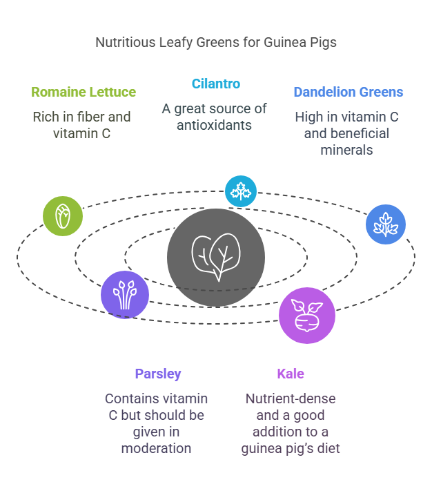 Safe Alternatives to Maple Leaves