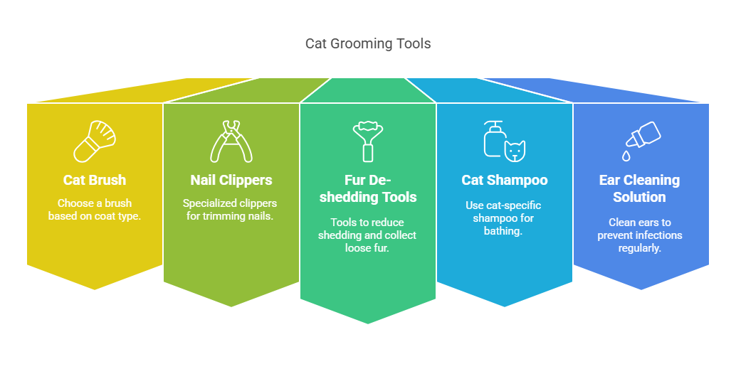 Tools and Grooming Kits For Cat Grooming