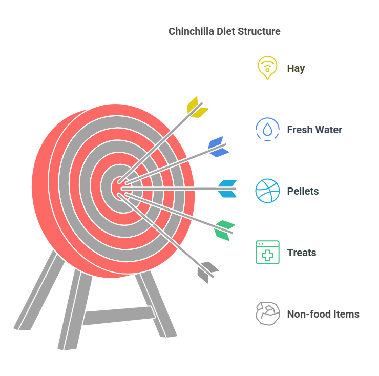 Chinchilla Diets
