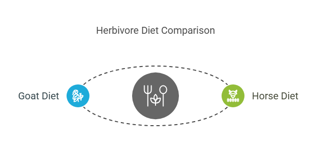 Understanding Goat and Horse Diets