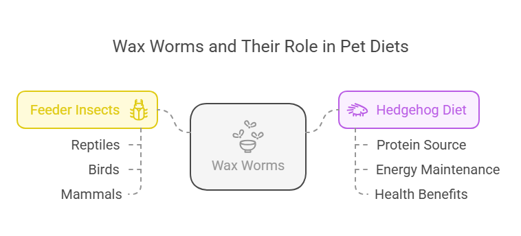 What Are Wax Worms