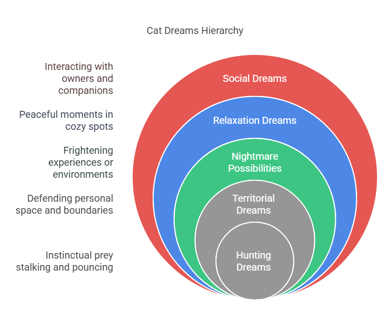 What Do Cats Dream About_ 7 Fascinating Insights You Didn’t Know