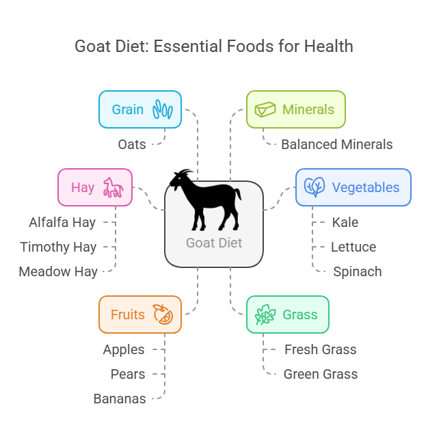 What Should Goats Eat