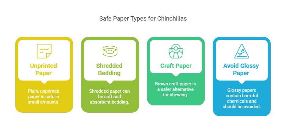 Types of Paper Are Safe for Chinchillas