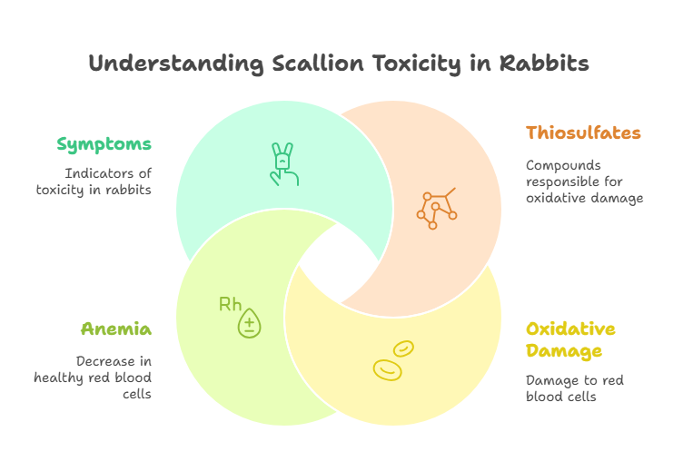 Why Are Scallions Dangerous for Rabbits