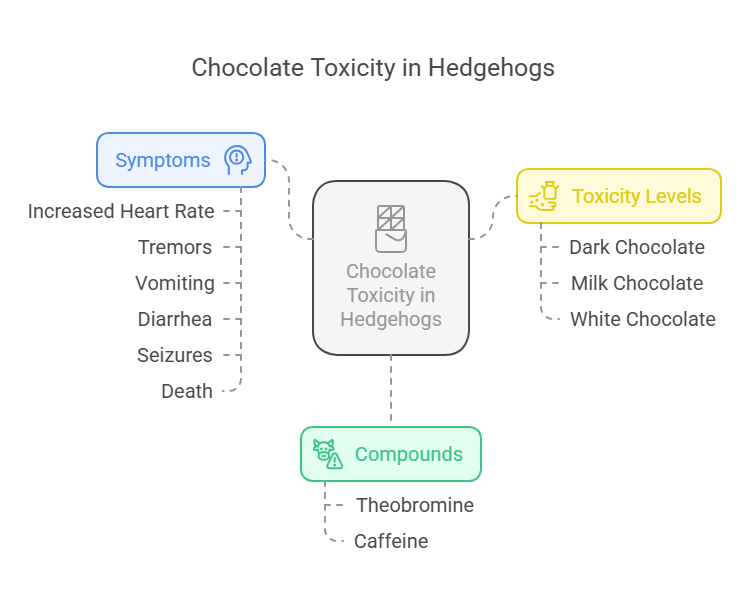 Why is Chocolate Dangerous for Hedgehogs