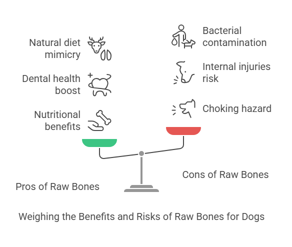 Are Raw Chicken Bones Safe for Dogs