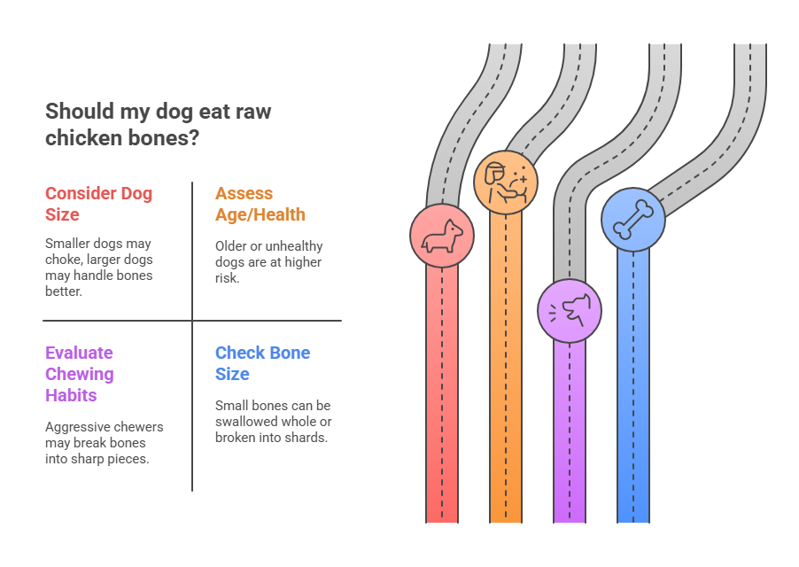 Can All Dogs Eat Raw Chicken Bones