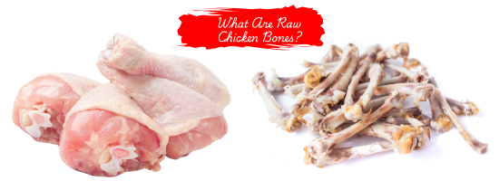 What Are Raw Chicken Bones?